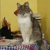 Отзыв от Инга Жарова